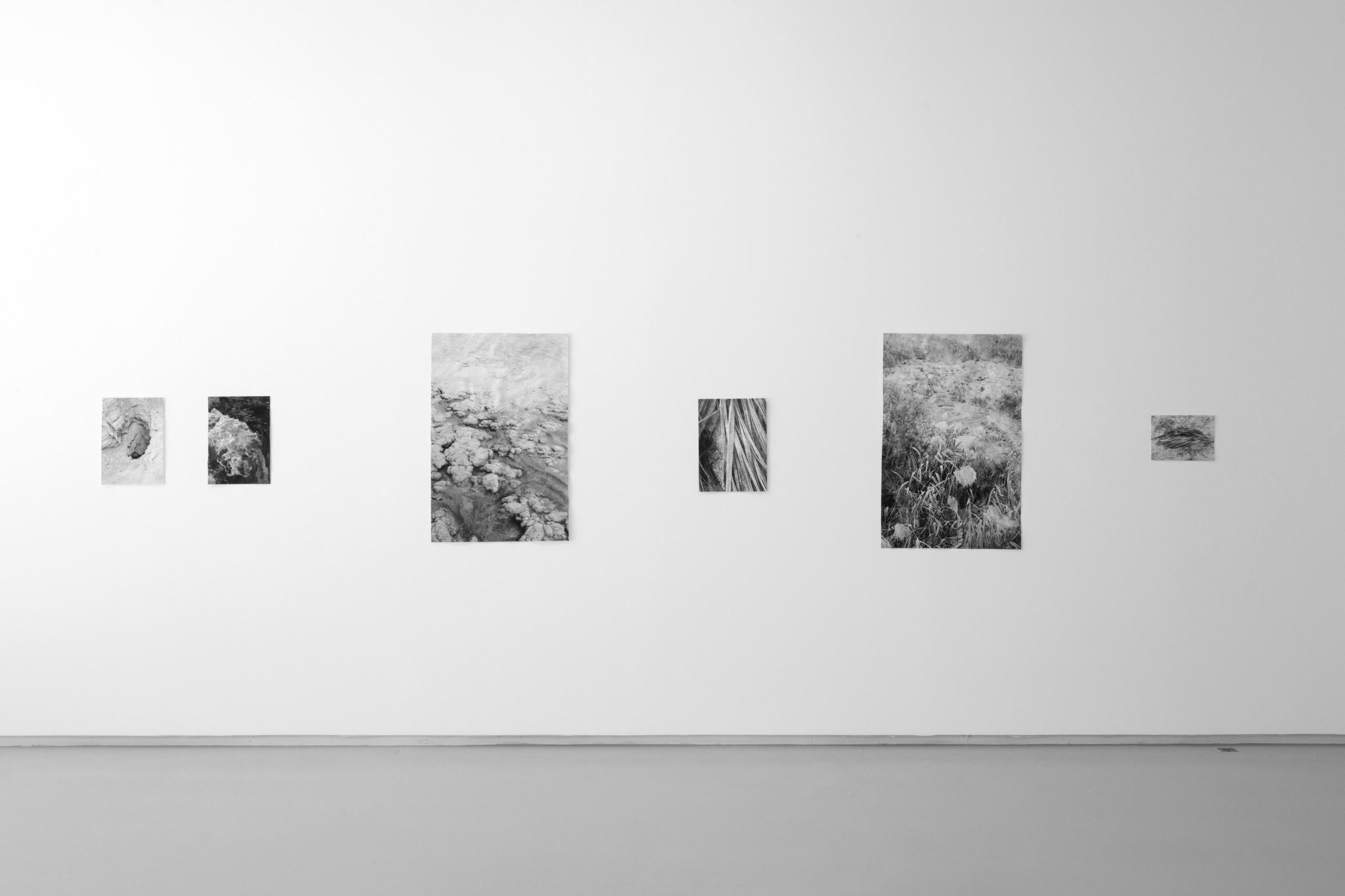 058-HD-I.Illouz_FataMorganaJeu_NBdePaume-PhotographeFrancoisLauginie 058-HD-I.Illouz_FataMorganaJeu_NBdePaume-PhotographeFrancoisLauginie