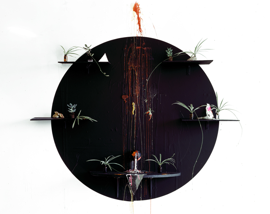 Baby Spider Plants, Archival Pigment Print, 40x50, 2010