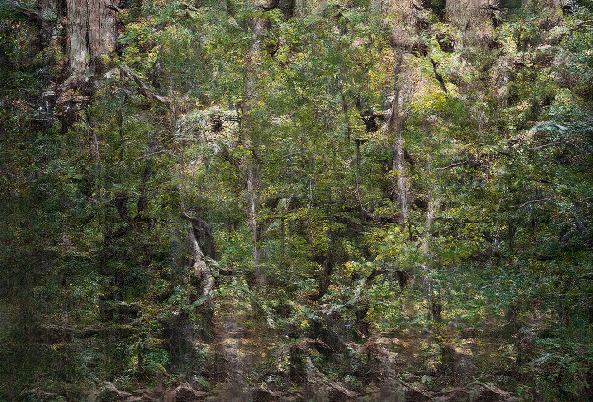 Jungle-Memory-0001-image-created-with-an-AI-trained-on-many-thousands-of-forest-images-Andreas-Greiner-2019-1200x813 Jungle-Memory-0001-image-created-with-an-AI-trained-on-many-thousands-of-forest-images-Andreas-Greiner-2019-1200x813